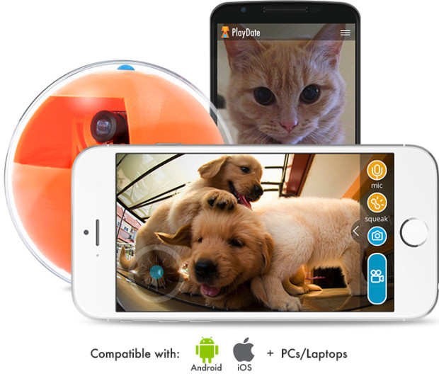 PlayDate World's First Pet Camera in a Smart Ball