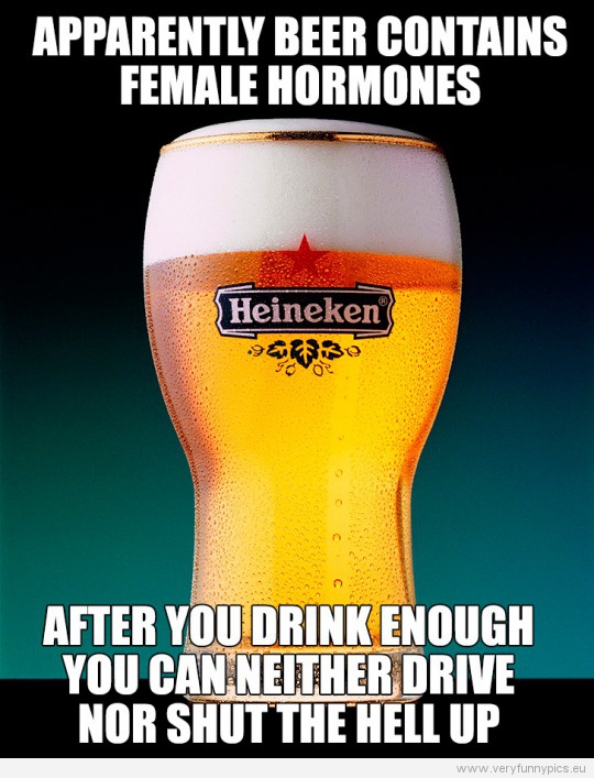 funny-picture-apparently-beer-contains-female-hormones-540x707
